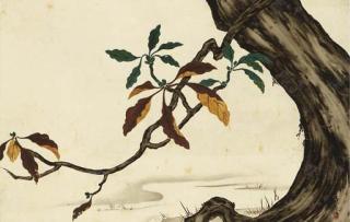 Shibata Zeshin - Oak tree by a river