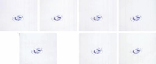 Shinji Ogawa - French Milk Crown 1-7