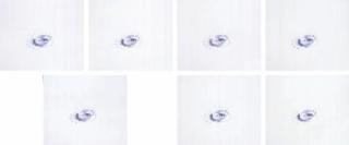 Shinji Ogawa - French Milk Crown 1-7