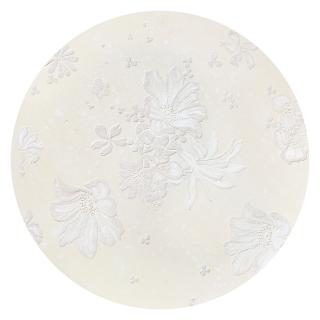 Shinji Ohmaki - Echoes - Crystallization(Executed In 2013)