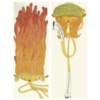 Shintaro Miyake - (I) Anemone (Ii) Miss Sweet