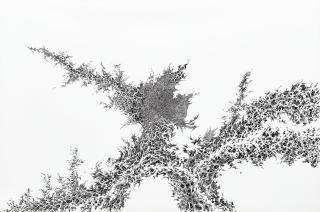 Shioyasu Tomoko - Sprout