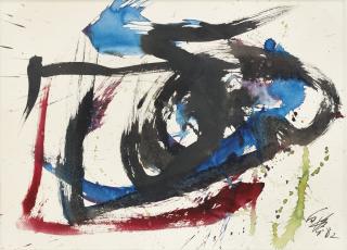 Shiraga Kazuo - Work