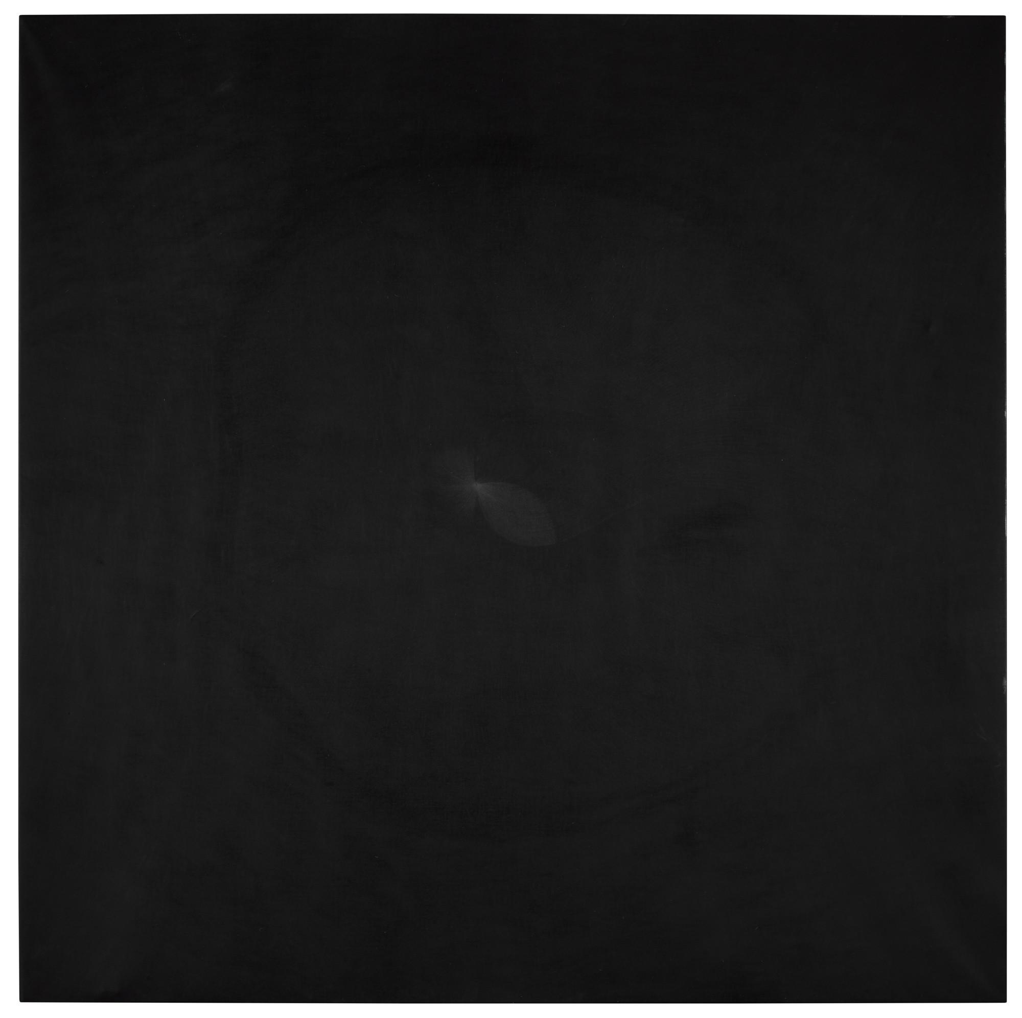 Shirazeh Houshiary - Air