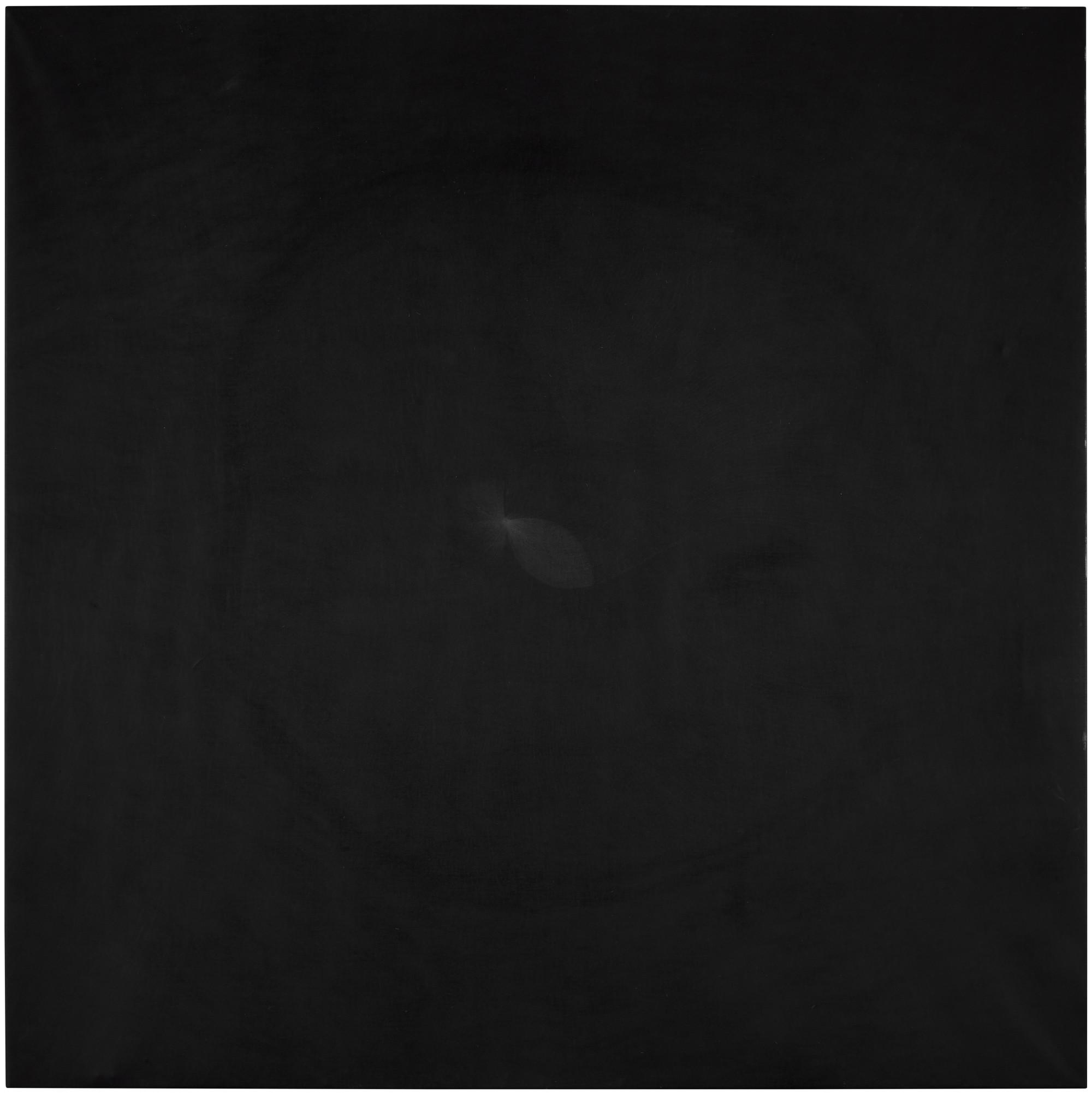 Shirazeh Houshiary - Air