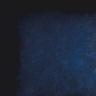 Shirazeh Houshiary - Door