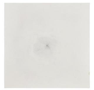 Shirazeh Houshiary - Mist, 1998