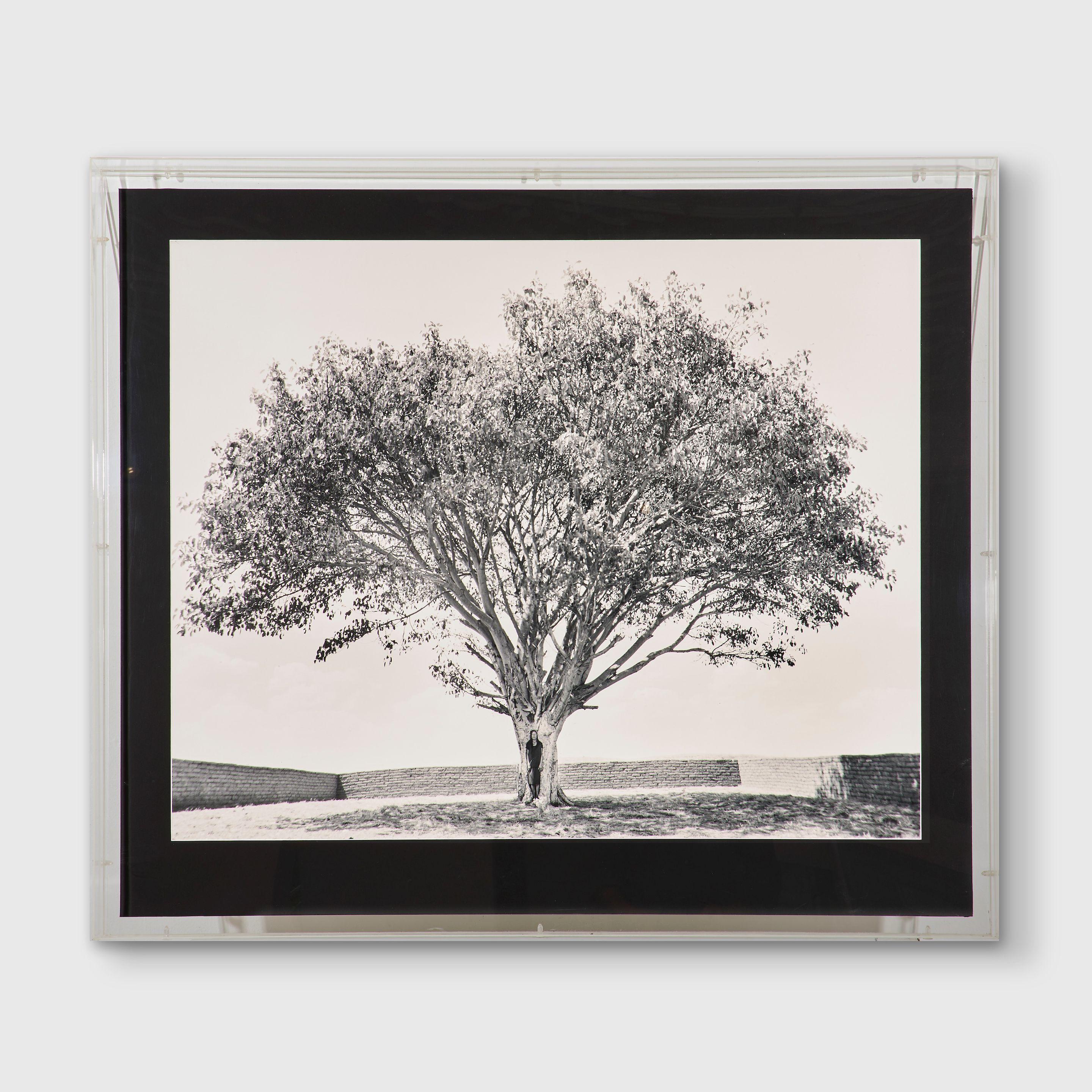 Shirin Neshat - Tooba, 2002,