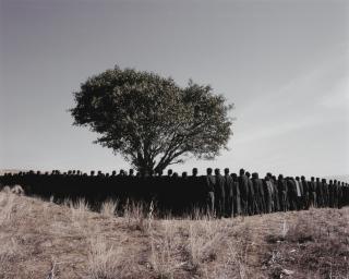 Shirin Neshat - Tooba Series