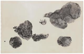 Shiryu Morita - Raku