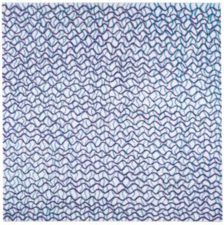 Shobha Broota - Orchestra 1