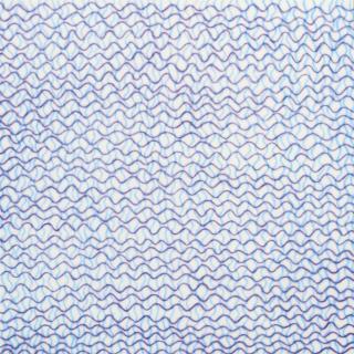 Shobha Broota - Orchestra 1