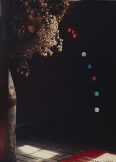 Shoji Ueda - Ohne Titel (aus der Serie: Genshi Yûkan [Illusion])