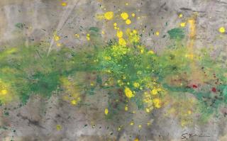 Shozo Shimamoto - Helicopter Performance Work 04