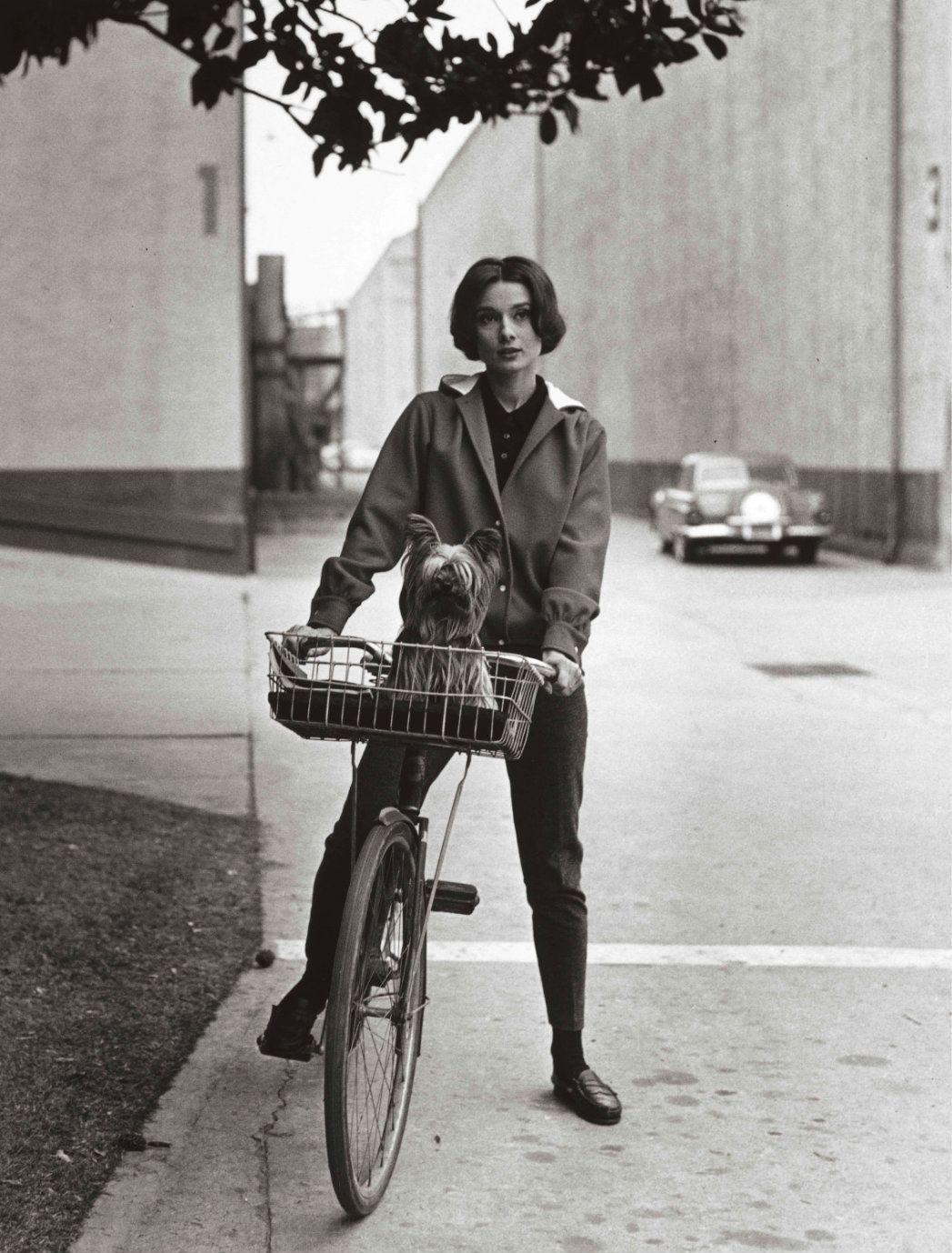 Sid Avery - Audrey Hepburn on her Bike with Her Dog \