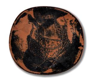 Siddig El Nigoumi - Bird dish