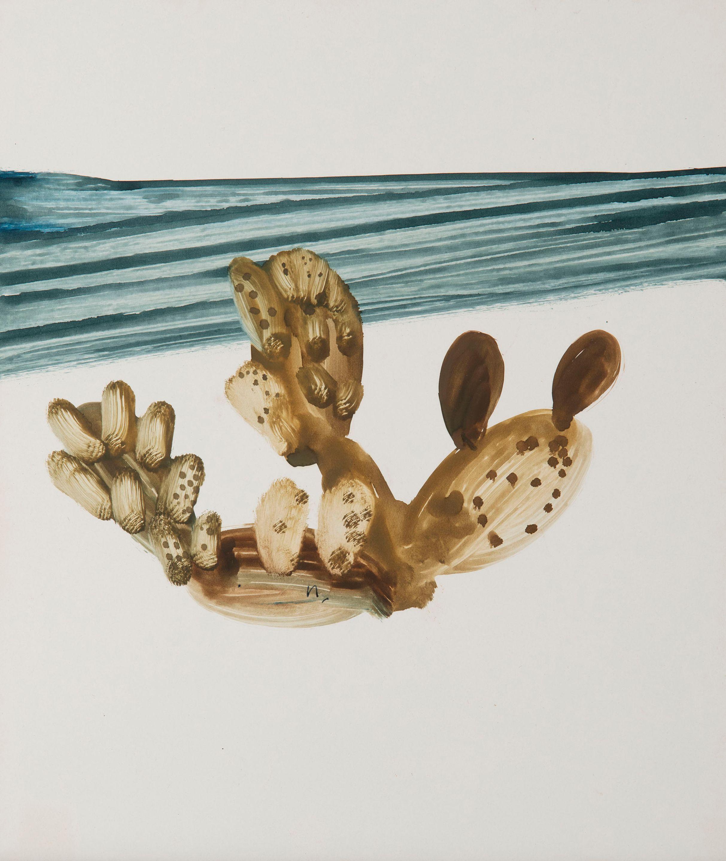Hydra, Cactus and Sea, 1956 by Sidney Nolan | Art.Salon