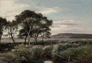 Sidney Richard Percy - A reedy meadow, North Wales
