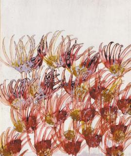 Sidney Robert Nolan - Australian Wildflowers