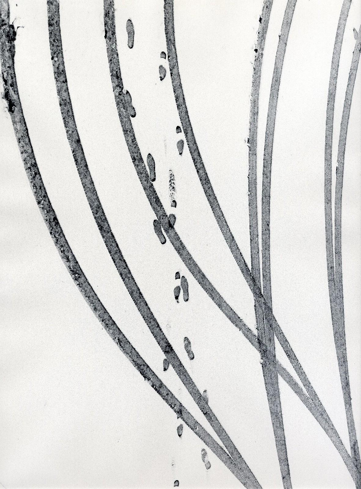 Siegfried Lauterwasser - Spuren im Schnee