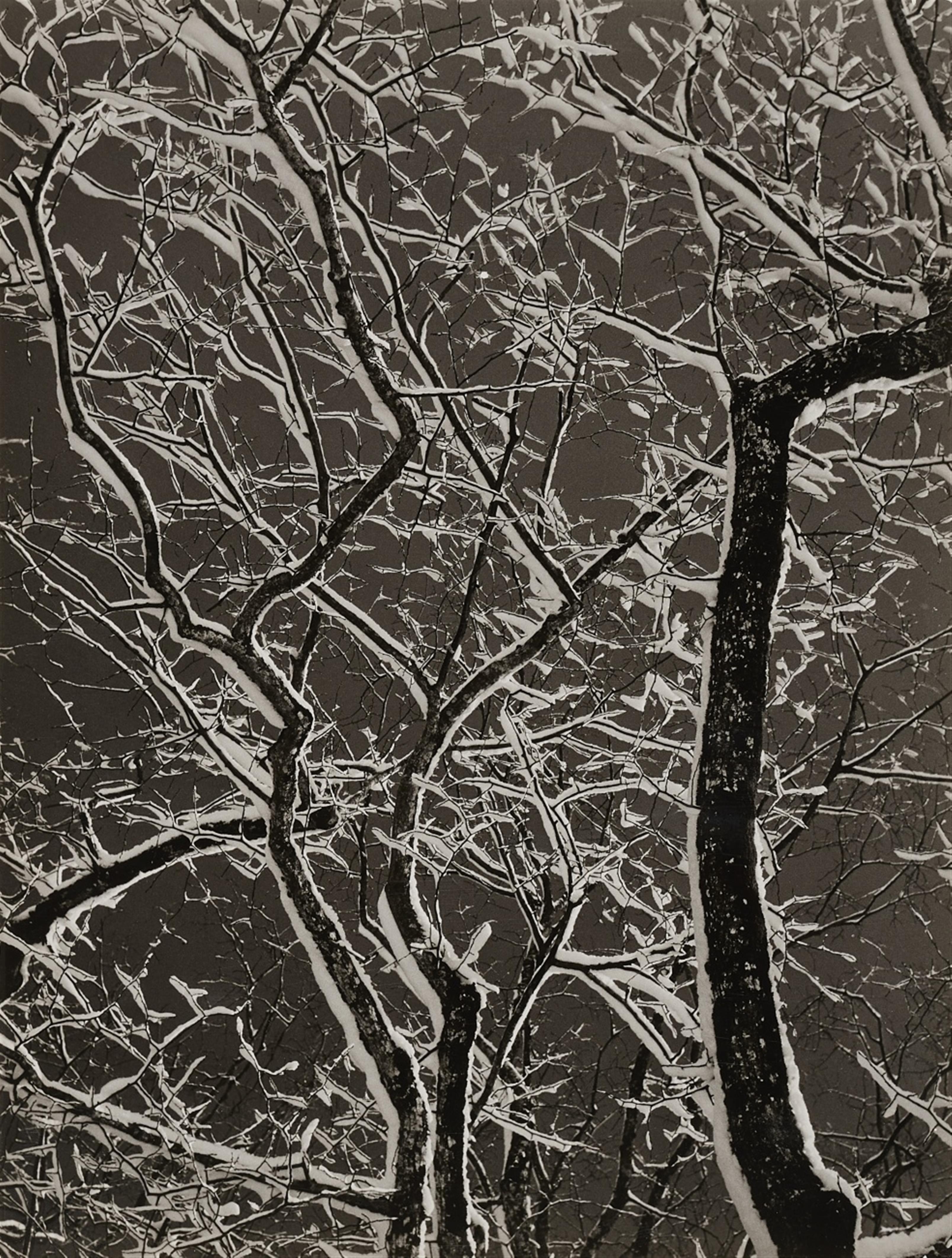 Siegfried Lauterwasser - Winterliches Filigran