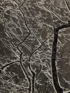 Siegfried Lauterwasser - Winterliches Filigran