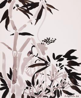 Siegward Sprotte - Madeira.