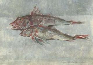 Sierk Schröder - A Still Life With Red Gurnards