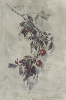 Sierk Schröder - Cherry branch (recto), Kneeling nude (verso)