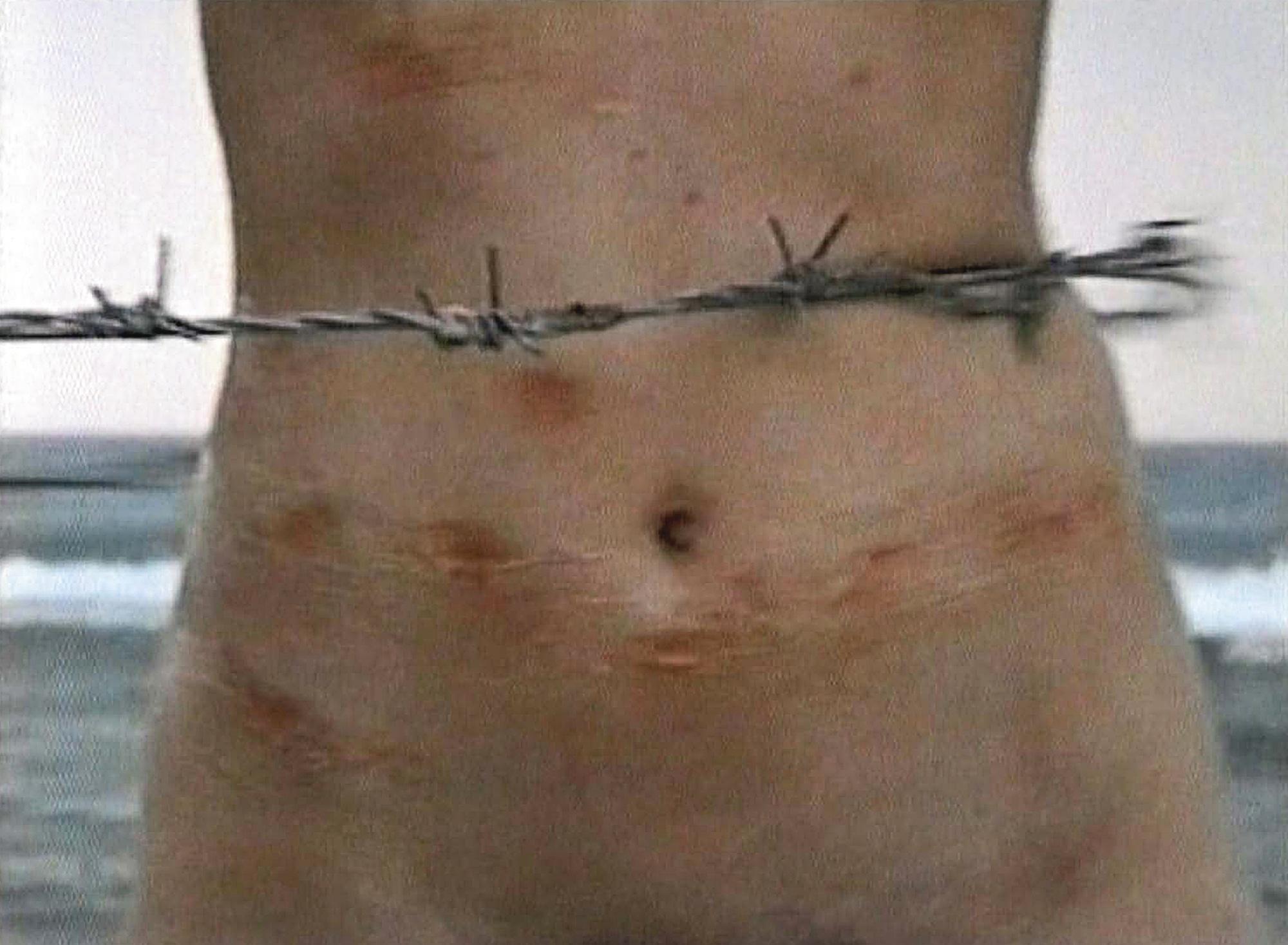 Sigalit Landau - Barbed Hula