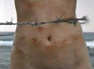 Sigalit Landau - Barbed Hula