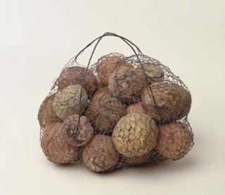 Sigalit Landau - Basket from The Country