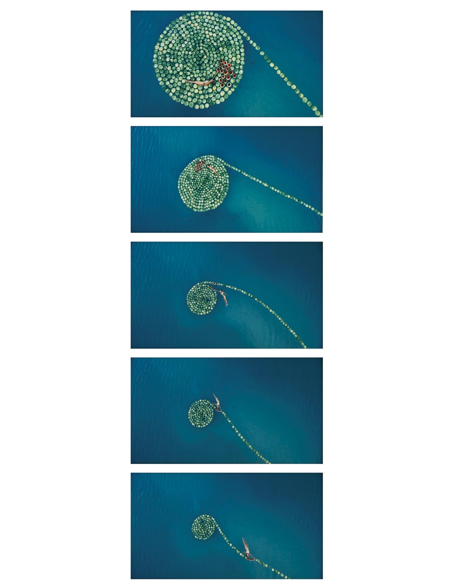 Sigalit Landau - Frames From Deadsee: Five Photographs