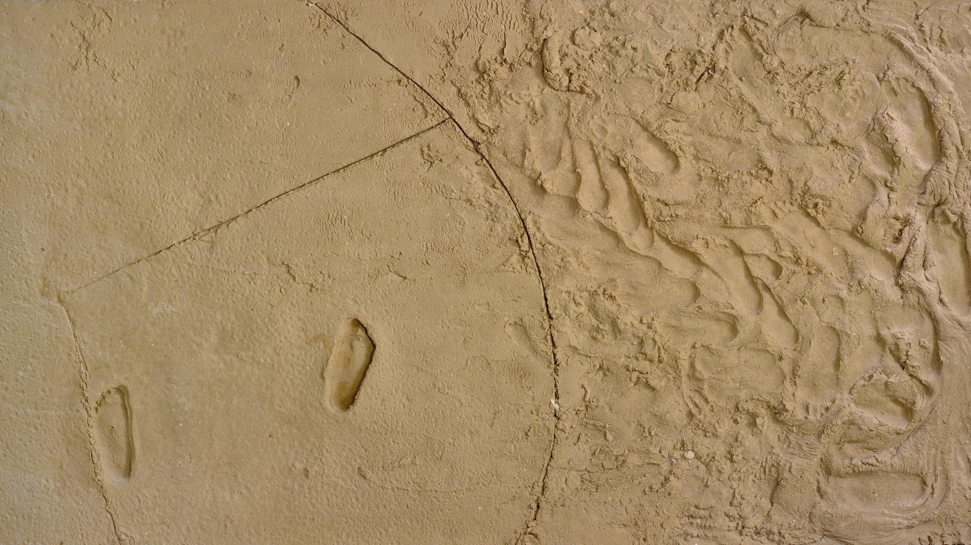 Sigalit Landau - Sand Foot In Circle
