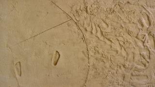 Sigalit Landau - Sand Foot In Circle