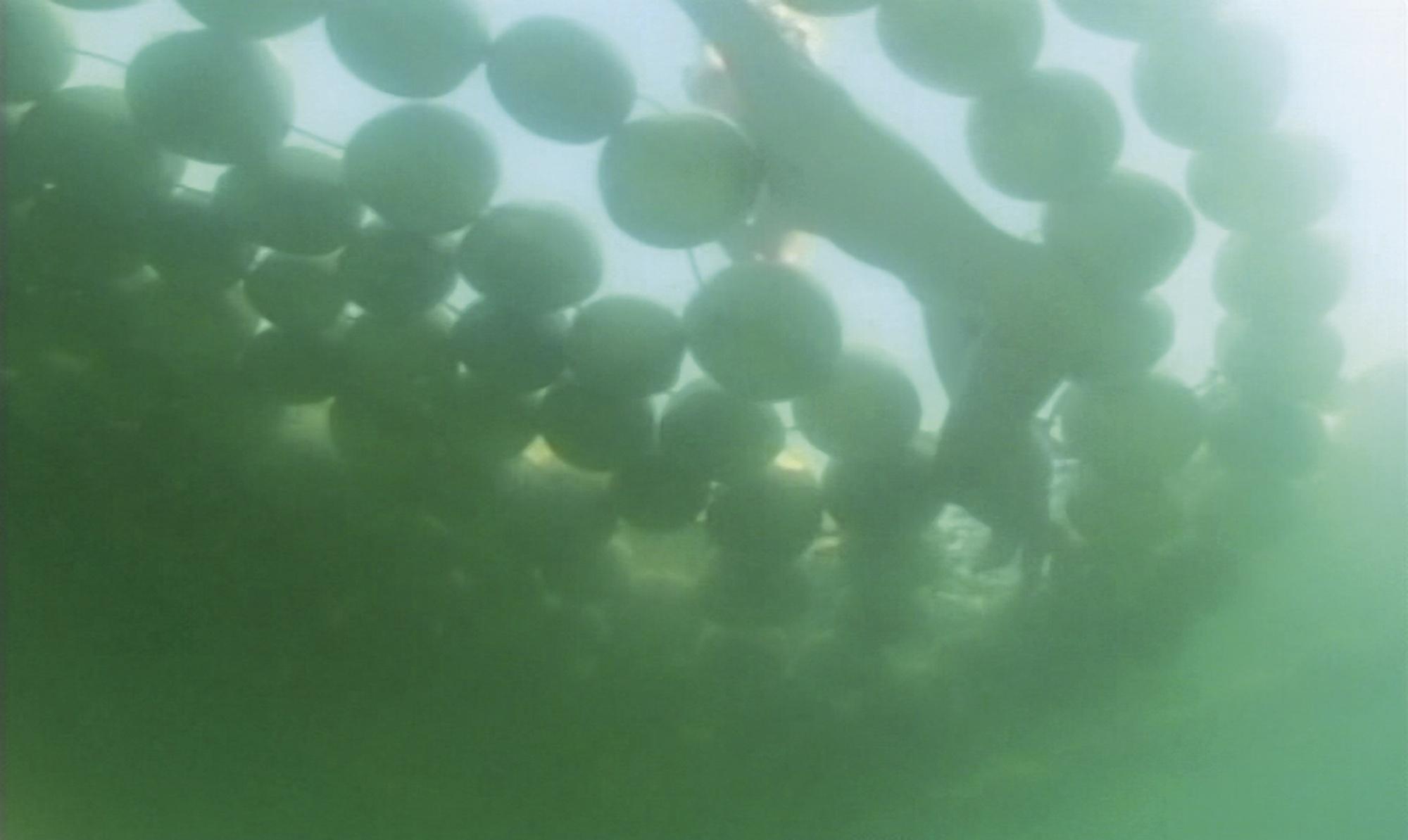 Sigalit Landau - Under The Dead Sea, 2005