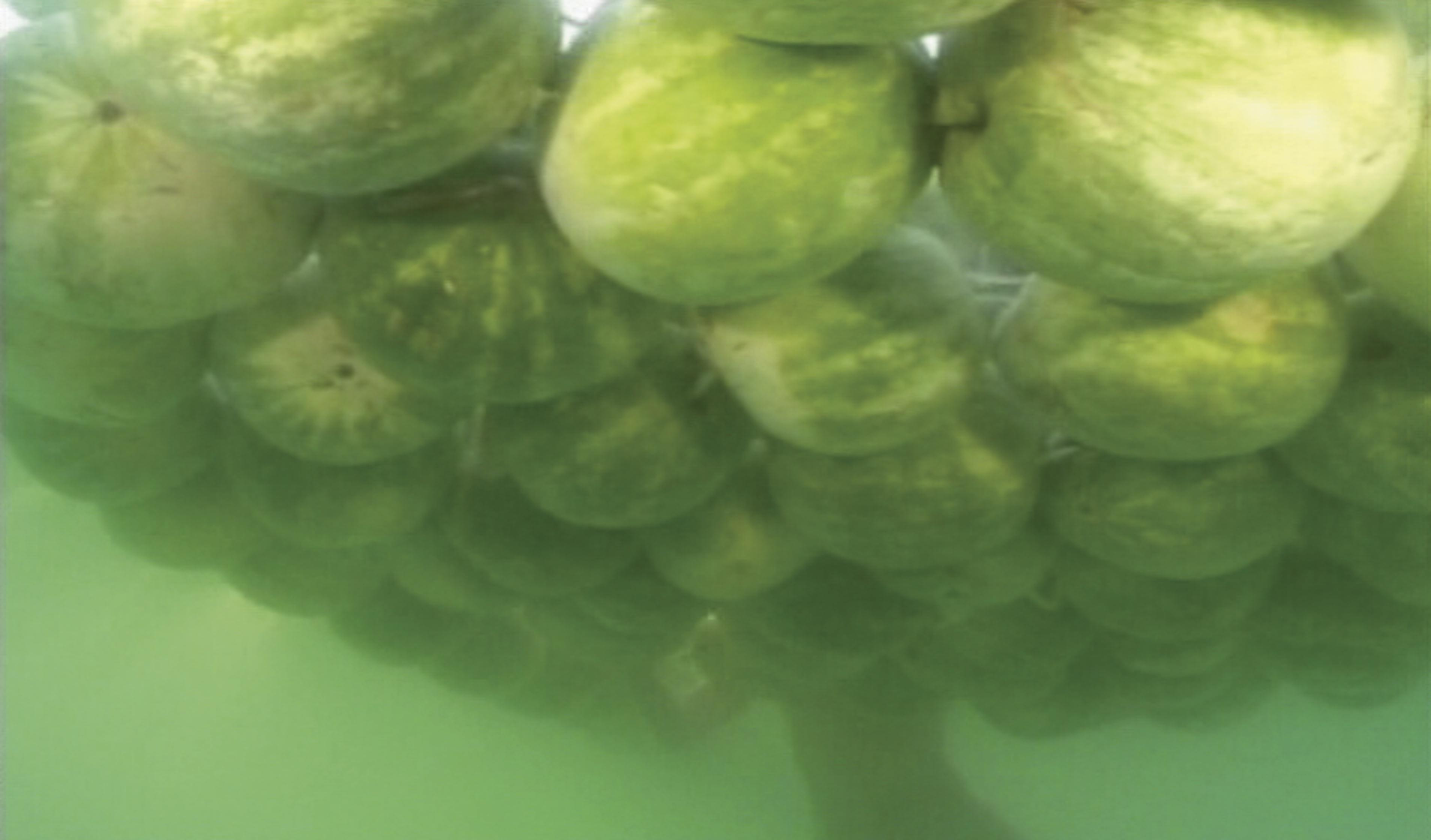 Sigalit Landau - Under The Deadsee, 2005