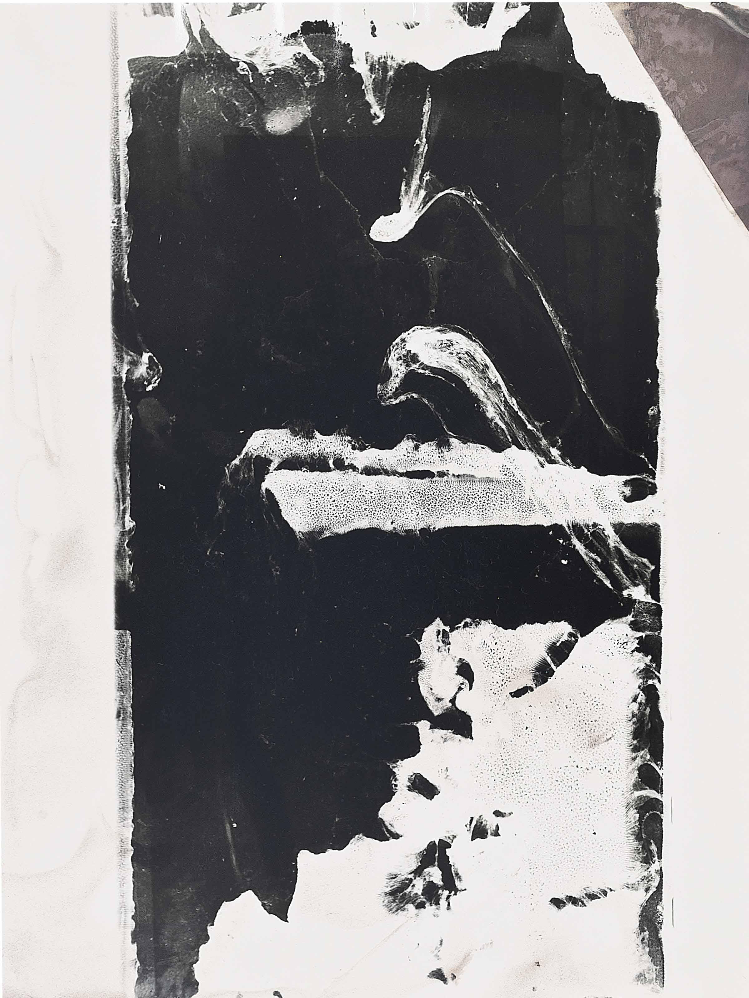 Sigmar Polke - Desastres Und Andere Bare Wunder