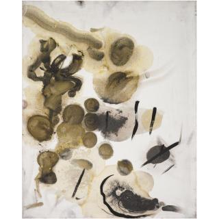 Sigmar Polke - Farbprobe Zu Zeitgeist \