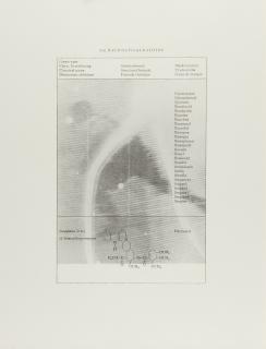 Sigmar Polke - Fernsehbild Eishockey (Raumwolfialkaloide)