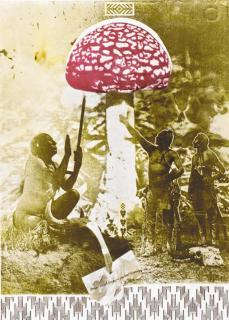 Sigmar Polke - Mu Nieltnam Netorruprup (Becker and von der Osten 45)