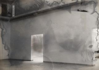 Sigmar Polke - Ohne Titel (Pavillon Biennale Venedig)