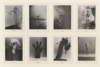 Sigmar Polke - Palmenserie