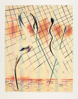 Sigmar Polke - Reiher.