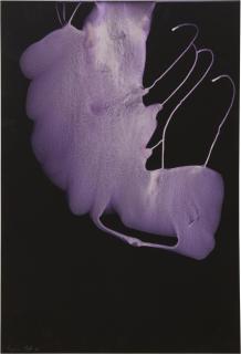 Sigmar Polke - Untitled POZ 194