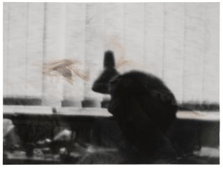 Sigmar Polke - Untitled