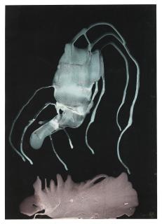 Sigmar Polke - Untitled