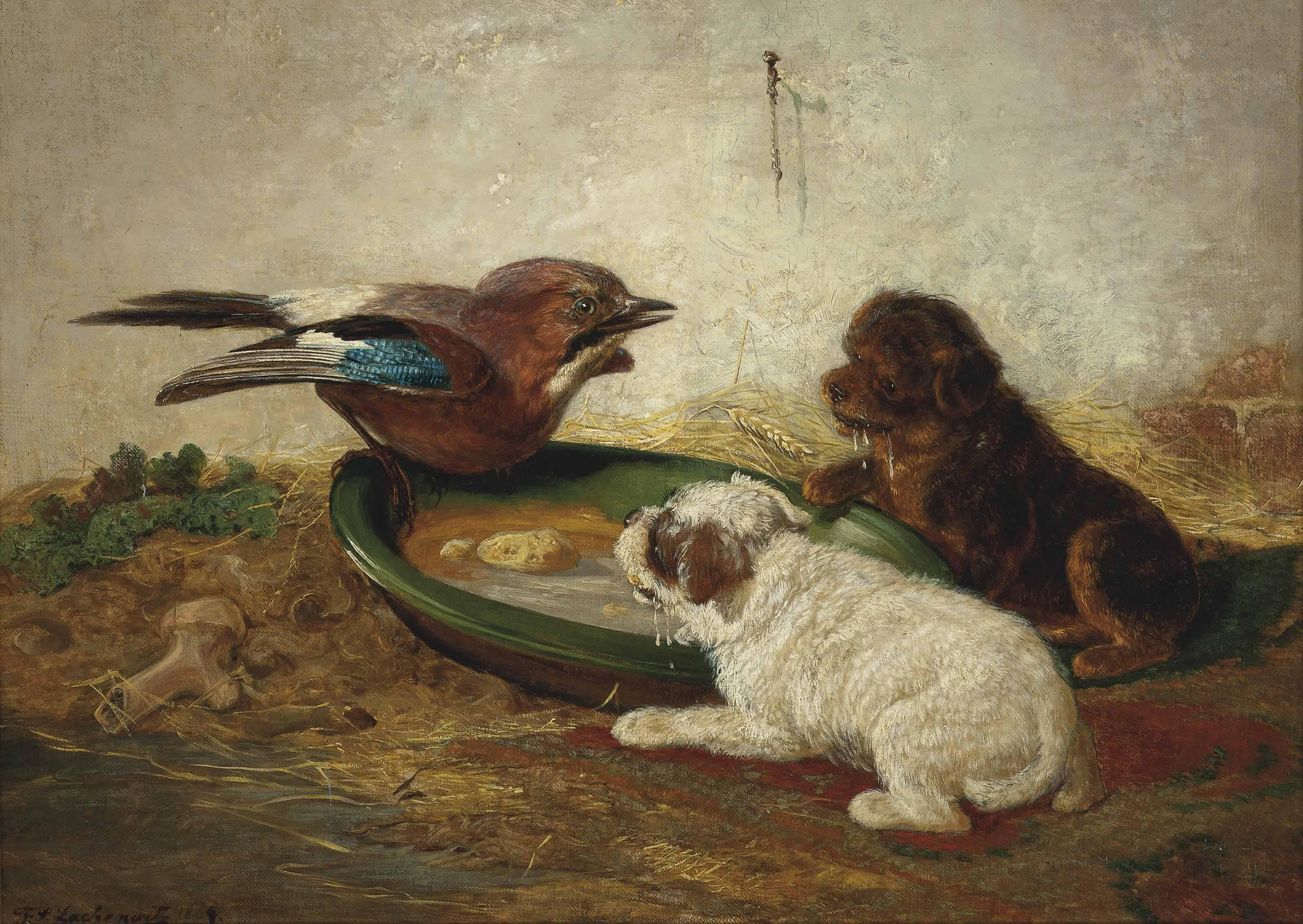 Sigmund Lachenwitz - An unwelcome encounter