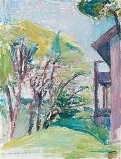 Sigrid Schauman - Sommarvy