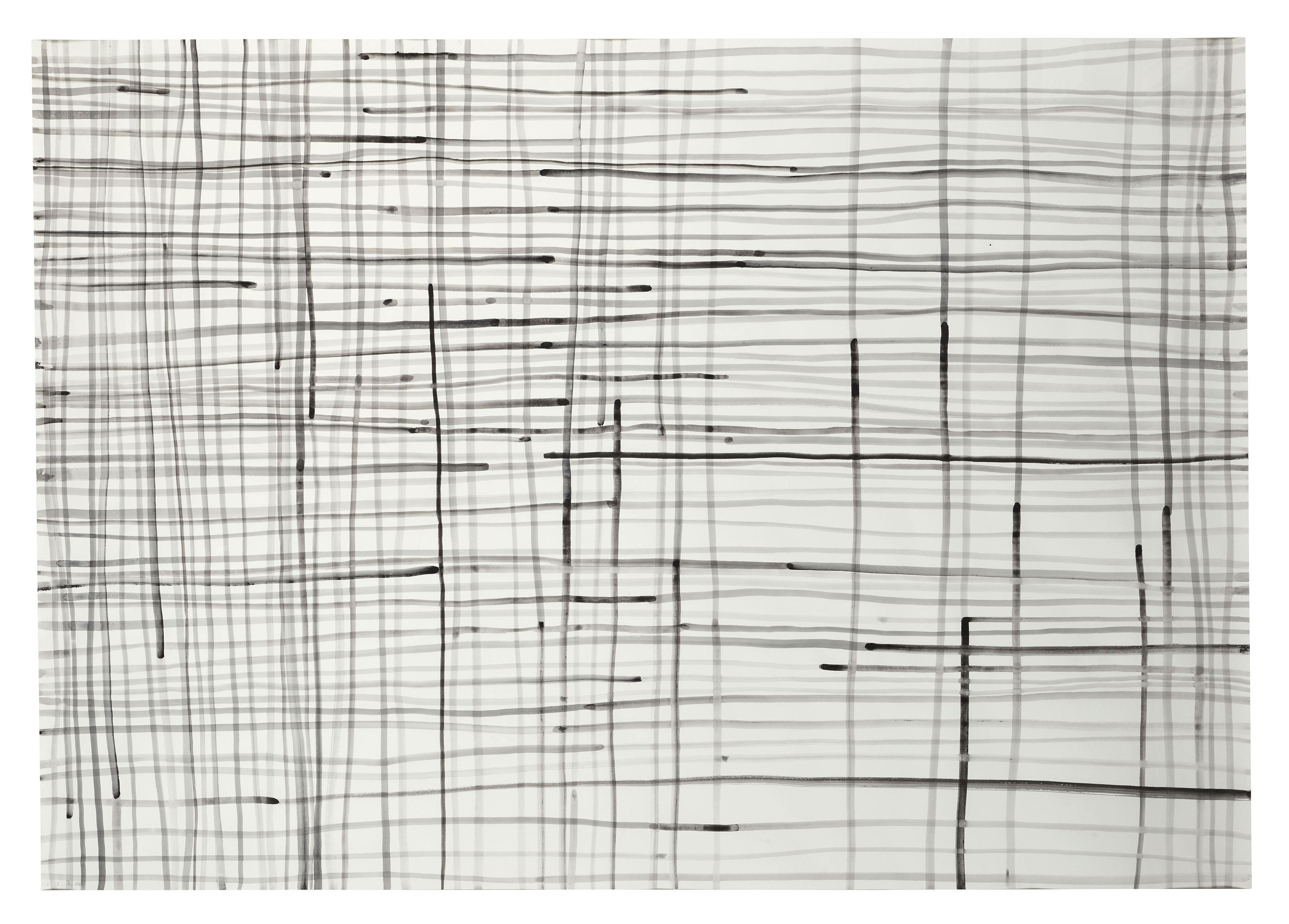 Silvia Bächli - Linien 28